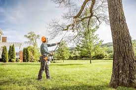 Best Hedge Trimming  in Tatum, TX