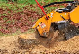 Tree and Shrub Care in Tatum, TX