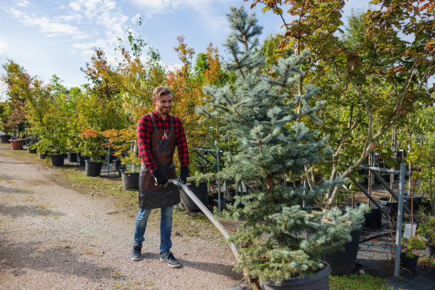 Best Tree Trimming and Pruning  in Tatum, TX